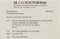 登錄號:F0037629藏品圖，第2張