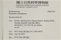 登錄號:F0037630藏品圖，第2張