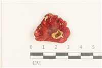 登錄號:F0037631藏品圖，第1張