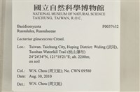 登錄號:F0037632藏品圖，第2張