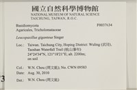 登錄號:F0037634藏品圖，第2張