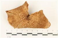 登錄號:F0037634藏品圖，第1張