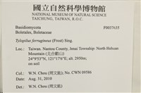 登錄號:F0037635藏品圖，第2張
