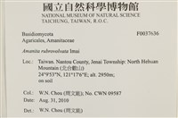 登錄號:F0037636藏品圖，第2張