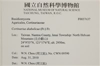 登錄號:F0037637藏品圖，第2張
