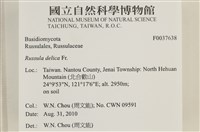 登錄號:F0037638藏品圖，第2張