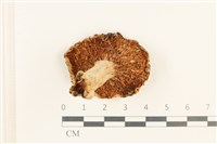 登錄號:F0037638藏品圖，第3張
