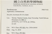 登錄號:F0037642藏品圖，第2張
