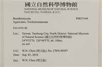 登錄號:F0037644藏品圖，第2張