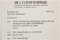 登錄號:F0037645藏品圖，第2張