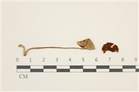 登錄號:F0037645藏品圖，第1張
