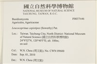 登錄號:F0037646藏品圖，第2張