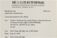 登錄號:F0037647藏品圖，第2張