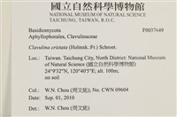 登錄號:F0037649藏品圖，第2張