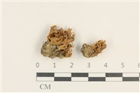 登錄號:F0037649藏品圖，第1張