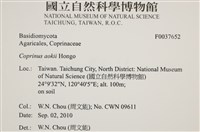 登錄號:F0037652藏品圖，第2張
