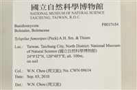 登錄號:F0037654藏品圖，第2張