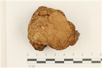登錄號:F0037654藏品圖，第1張