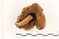 登錄號:F0037654藏品圖，第3張