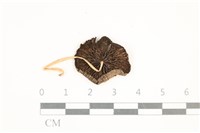 登錄號:F0037655藏品圖，第3張