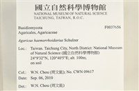 登錄號:F0037656藏品圖，第2張