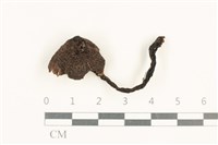 登錄號:F0037661藏品圖，第1張