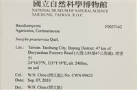 登錄號:F0037662藏品圖，第2張