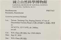 登錄號:F0037663藏品圖，第2張