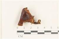 登錄號:F0037663藏品圖，第1張