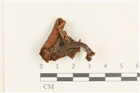 登錄號:F0037663藏品圖，第3張