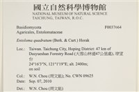 登錄號:F0037664藏品圖，第2張