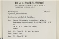 登錄號:F0037665藏品圖，第2張