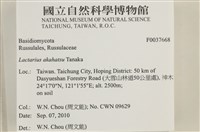 登錄號:F0037668藏品圖，第2張