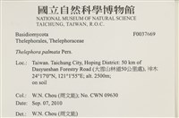 登錄號:F0037669藏品圖，第2張