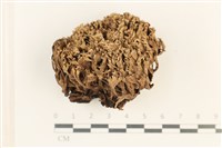 登錄號:F0037669藏品圖，第1張