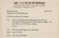 登錄號:F0037670藏品圖，第2張