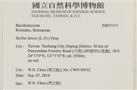 登錄號:F0037671藏品圖，第2張