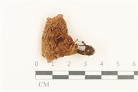 登錄號:F0037672藏品圖，第1張