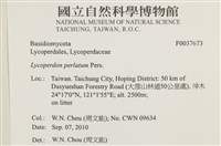 登錄號:F0037673藏品圖，第2張