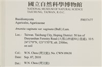 登錄號:F0037677藏品圖，第2張
