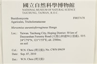登錄號:F0037678藏品圖，第2張