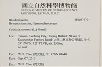 登錄號:F0037679藏品圖，第2張