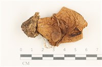 登錄號:F0037680藏品圖，第1張