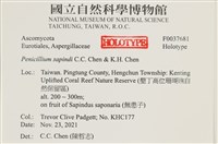 登錄號:F0037681藏品圖，第2張