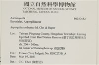 登錄號:F0037682藏品圖，第2張