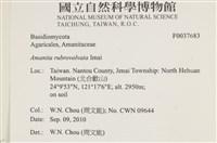 館號:F0037683藏品圖，第2張