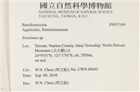 粉褶菌屬藏品圖，第2張
