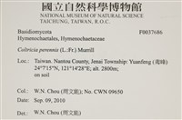 登錄號:F0037686藏品圖，第2張