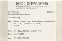 登錄號:F0037687藏品圖，第2張