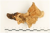登錄號:F0037687藏品圖，第1張